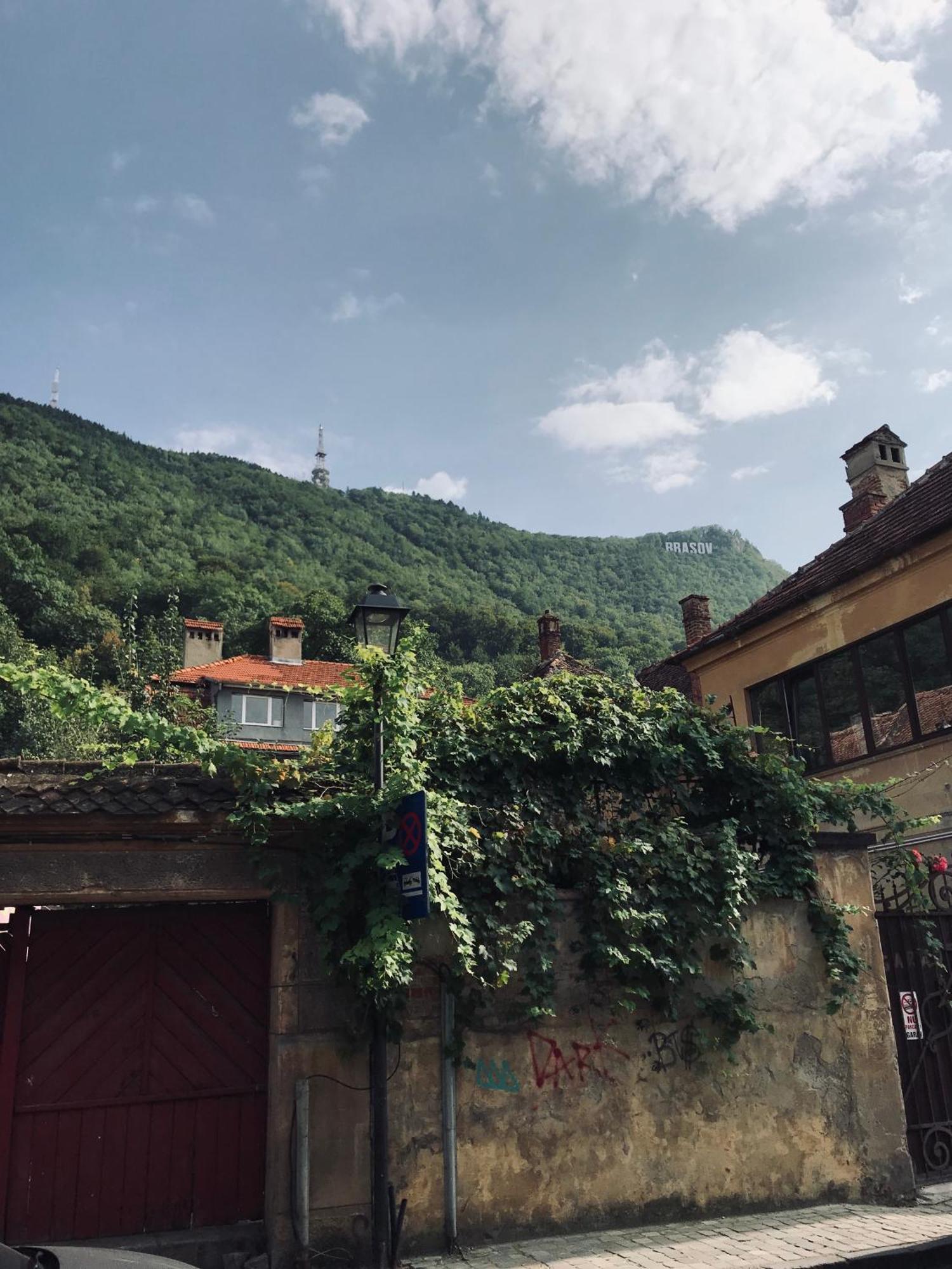 Appartement Gorgeous Brasov Flat With Patio And Mountain Views Extérieur photo